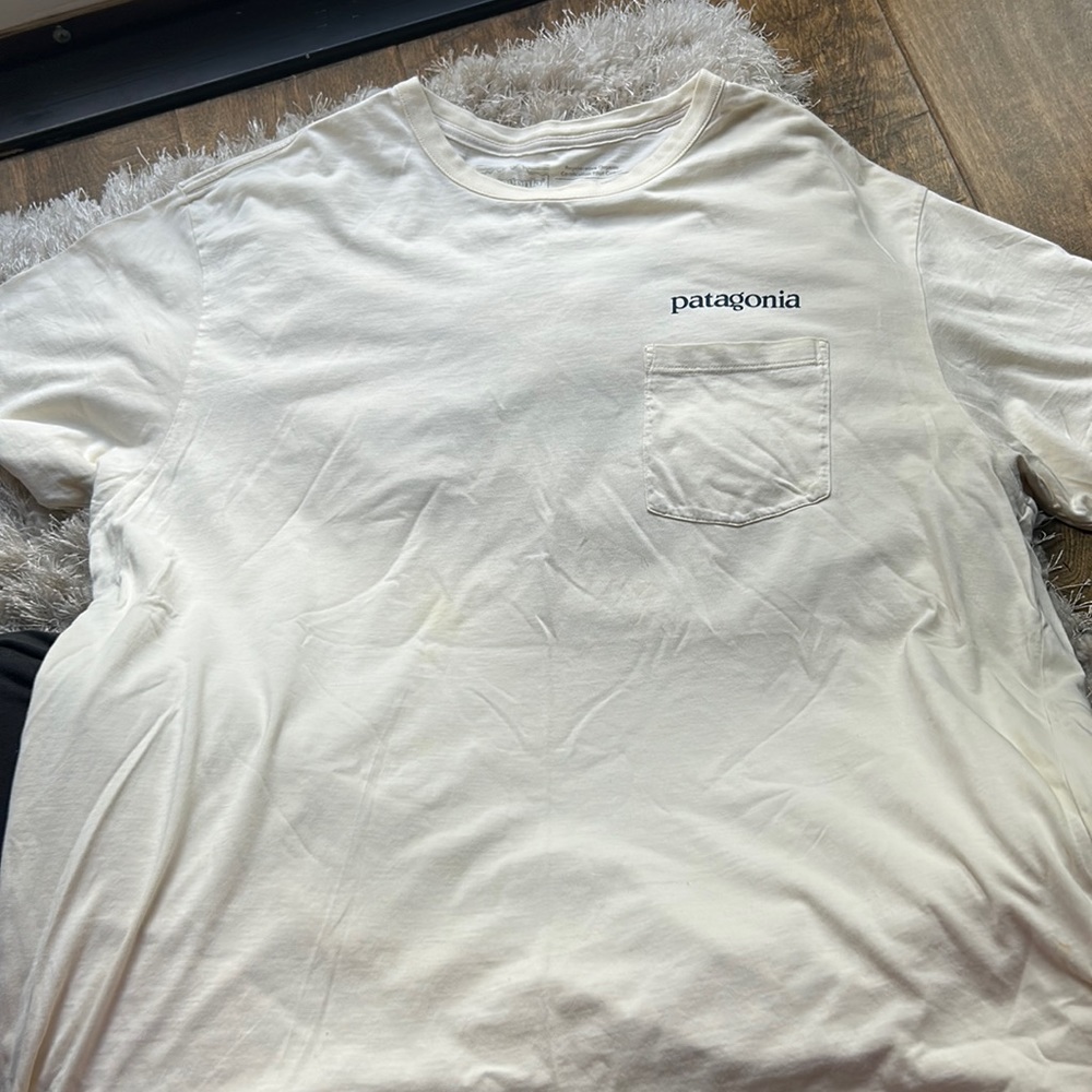 Patagonia T-shirt